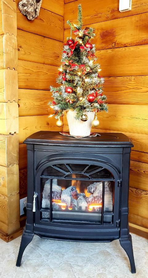 Mica Mountain Lodge & Log Cabins Tete Jaune Cache Luaran gambar