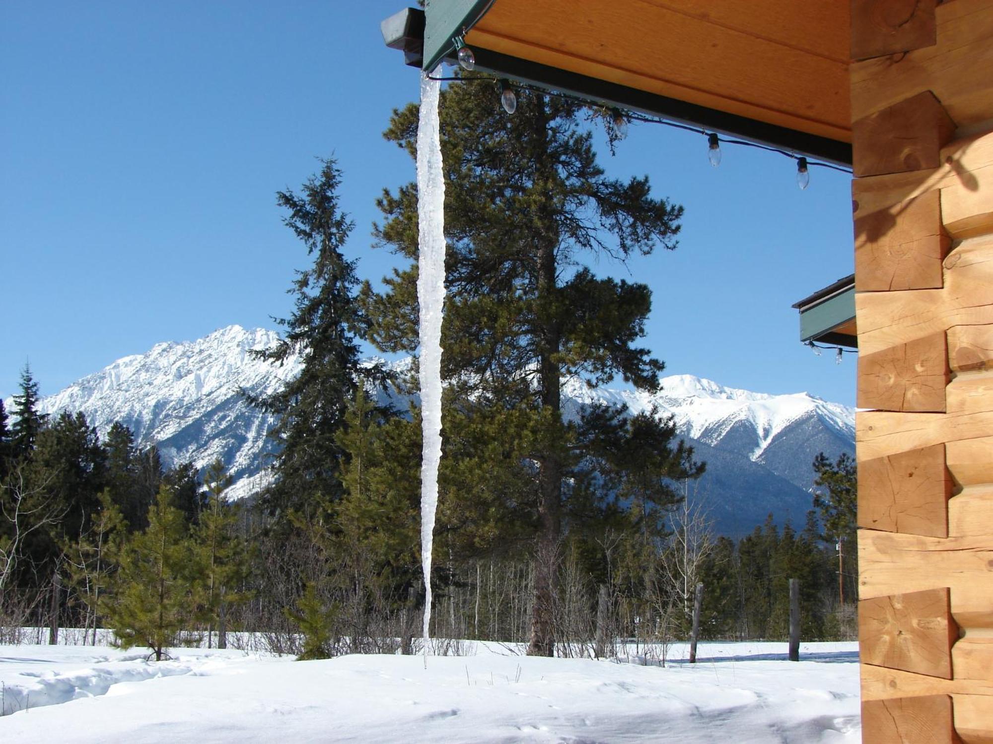 Mica Mountain Lodge & Log Cabins Tete Jaune Cache Luaran gambar
